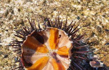 Wine Suite b&b - Foto 53