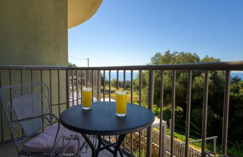 Nikos & Vassilis apartments Kefalonia - Foto 44