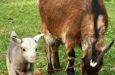 Bartleshof - Foto 41