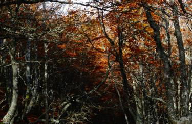 Apartamento Fuente De Somave - Foto 30