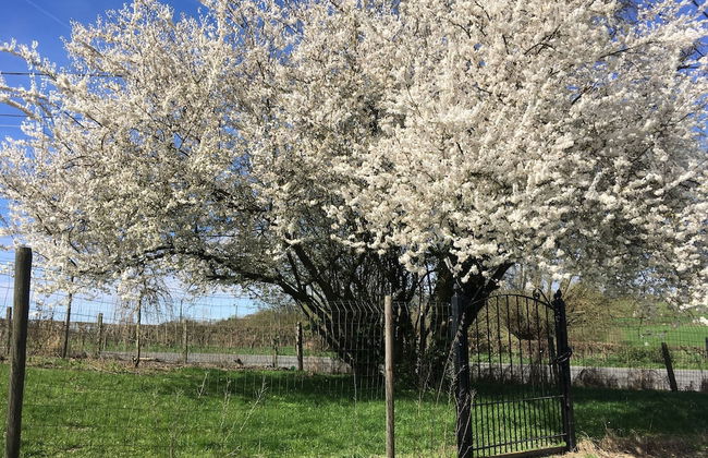 Country House Au Ballet des Hirondelles - Foto 43