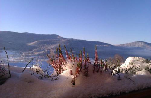 Appartementhaus Himmelreich - Foto 21