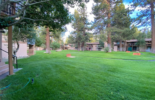 Tranquility at Villa De Los Pinos - Foto 26