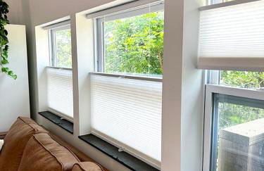 Tiny House Rental in Asheville, NC - The Bat Shack - Foto 12