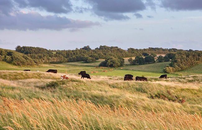 6 Person Holiday Home in Skals - Foto 29