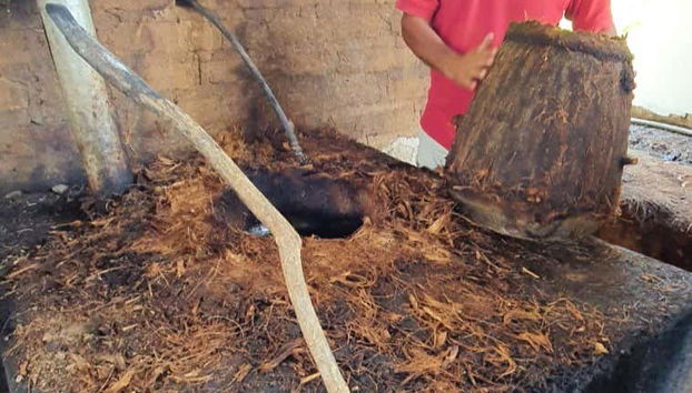 Mezcal Tour of Santa Catarina Minas - Foto 4