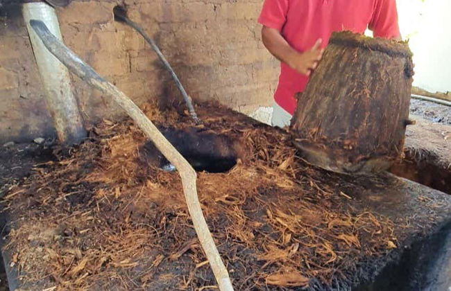 Mezcal Tour of Santa Catarina Minas - Foto 4