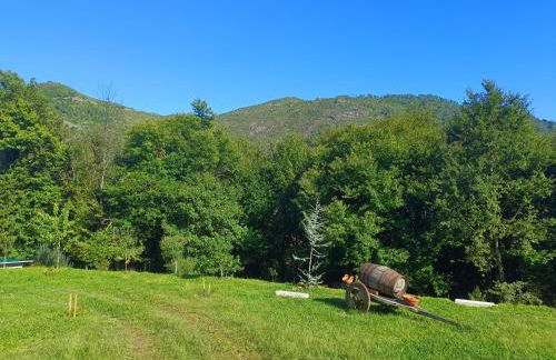 Quinta da Casa Matilde - NATURE HOUSE - Foto 63