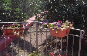 Villetta Mare Ventotene - Photo 13