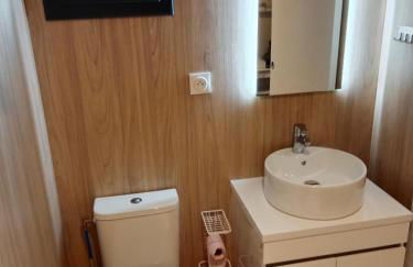 les gites axéens (l'Ours) - Foto 12