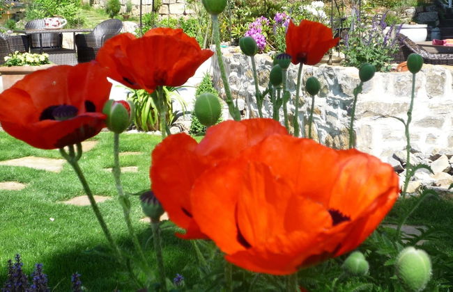 Villa With a View of the Weserbergland - Foto 18