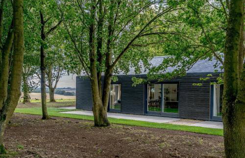 2 Pheasant - Photo 24