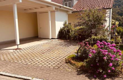 Monis Home - Foto 11