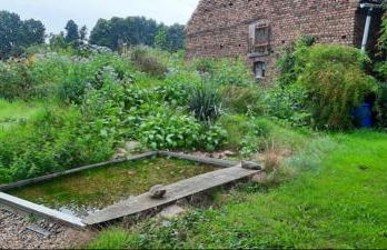 Ferienhaus Luna - Photo 23