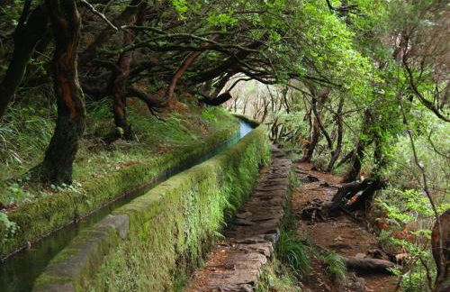 Casa dos Serrões - Foto 21