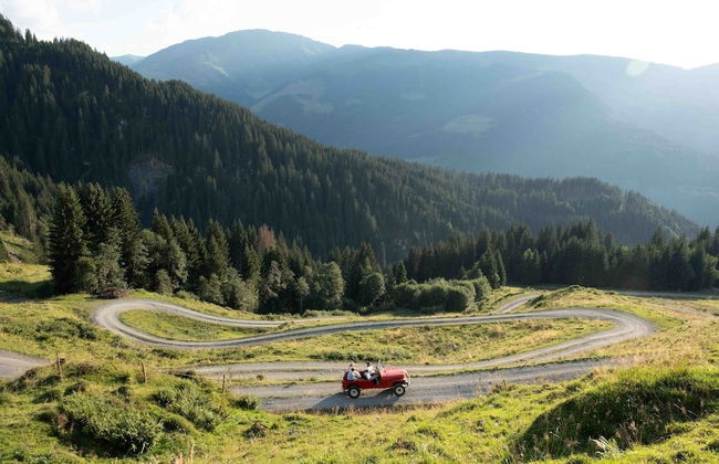 Buccara Zwischenbachalm - Foto 28