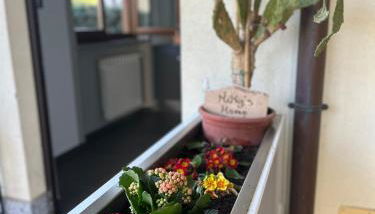 Miky’S home - Photo 4