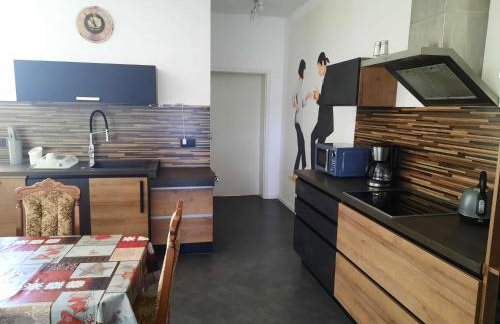 Geschäfts und Ferienwohnung Magdeburg - Foto 2