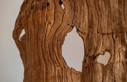 Locrimar Pool Real Padel Proximity - Foto 18