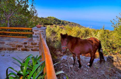 House in Εndless green - Arethousa, Ikaria - Photo 46