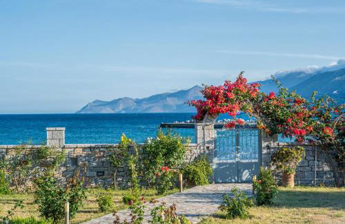 Xenios Kotronas - Foto 2