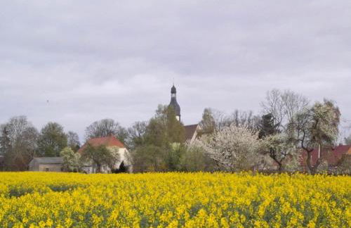 Spacious Apartment in Boddin With Garden - Foto 12