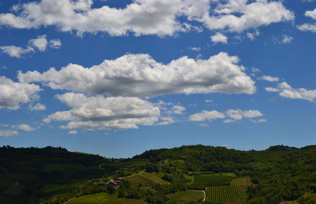 Ca der Forn the Bread Oven House in Cascina Bricchetto Langhe - Italy - Photo 24