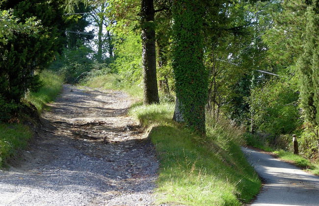 Holiday Home in Montecarelli With Pool - Foto 41