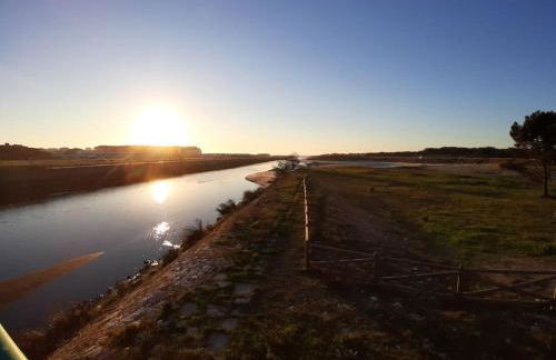 Casa dos Peixes, um refúgio à beira mar - Foto 8