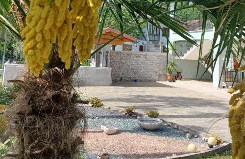 Casa colibrì - Foto 4