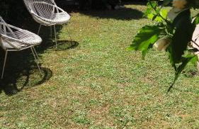 sole mare versilia - Foto 20