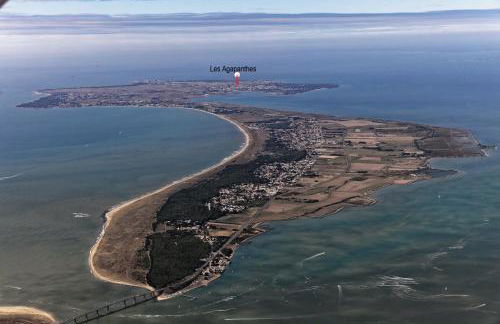 Les Agapanthes - Foto 32