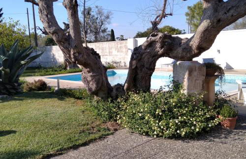 Villa Federico - Foto 9