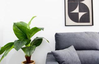 Letmalaga Study Stay - Foto 41