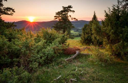 Villa Silberberg - Photo 37