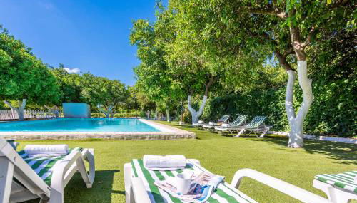 Huerta la Pimentada - Foto 2