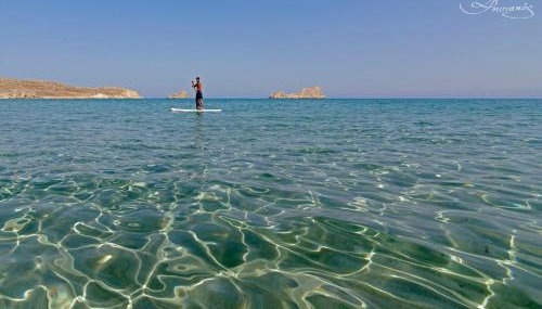 Liviko View - Foto 4