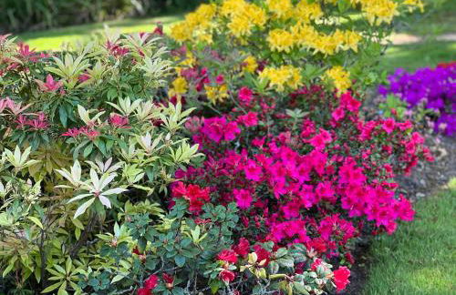 Paul's Farmhouse - Foto 6