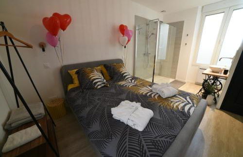 Eaudyssée maison avec SPA privée - Loiret - Photo 14