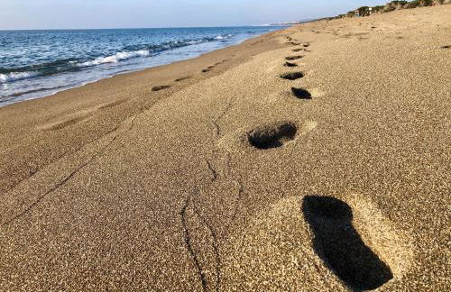 Podere Morena with sea view, private garden, by ToscanaTour Luca - Foto 25