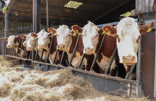 Rowan Cottage - Fold Yards - Foto 29