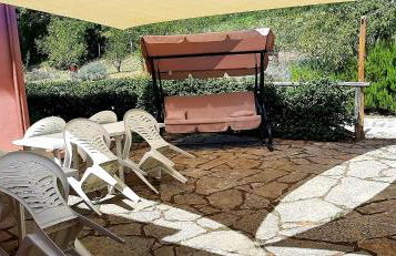 L'Albero degli Struzzi - Foto 38