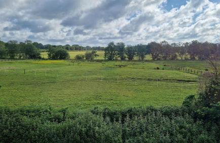 Lavender Cottage - Foto 37