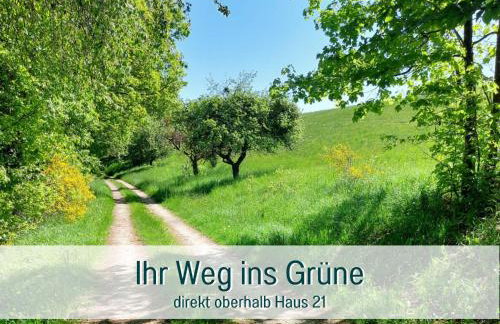 Traumweiler Ferienhäuser am Nationalpark Hunsrück Hochwald - barrierefrei -teilweise Hundefreundlich - privater Garten - Natur beginnt direkt am Haus - Photo 42