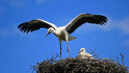 An der Hainmühle - Foto 2