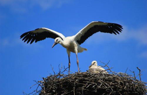 An der Hainmühle - Foto 2