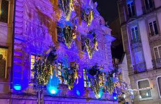 Robertsau, jardin en ville - Foto 22