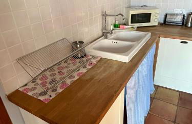 La Washingtonia - Foto 61