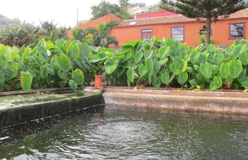 Haciendas del Valle - Las Kentias - Foto 39