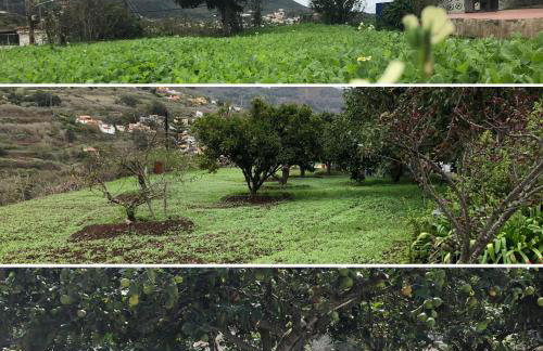 LA CHOZA VILLA VACACIONAL - Foto 14